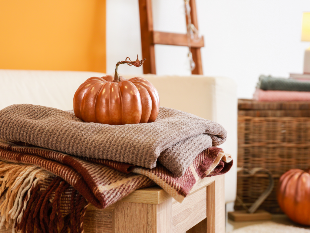First Things First: Pillows & Throws (AKA Instant Fall Vibes)
