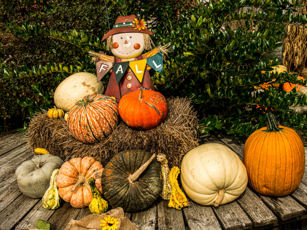Pumpkin display on front porch