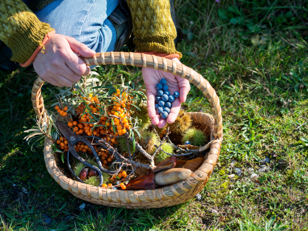 Nature-Inspired Decor: Foraging (Without Leaving Home)