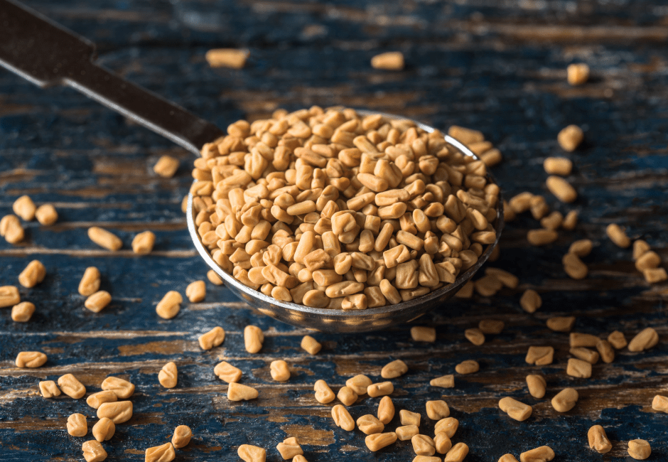 Fenugreek