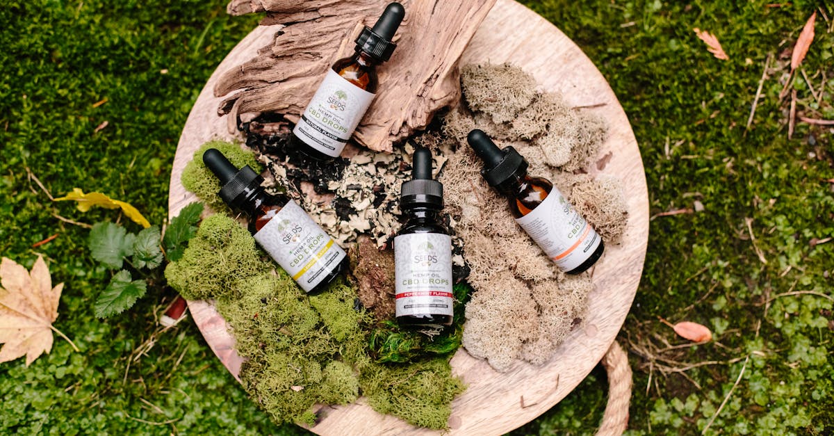 Natural CBD oil bottles with droppers on a wooden board surrounded by moss and leaves.