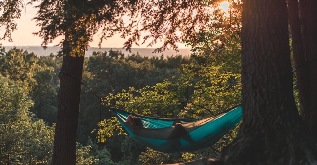 Serene scene of a person relaxing in a hammock. Nature therapy.