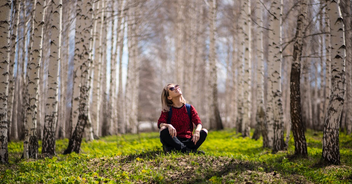 A woman sits peacefully in a sunlit birch tree forest, enjoying nature's serenity.