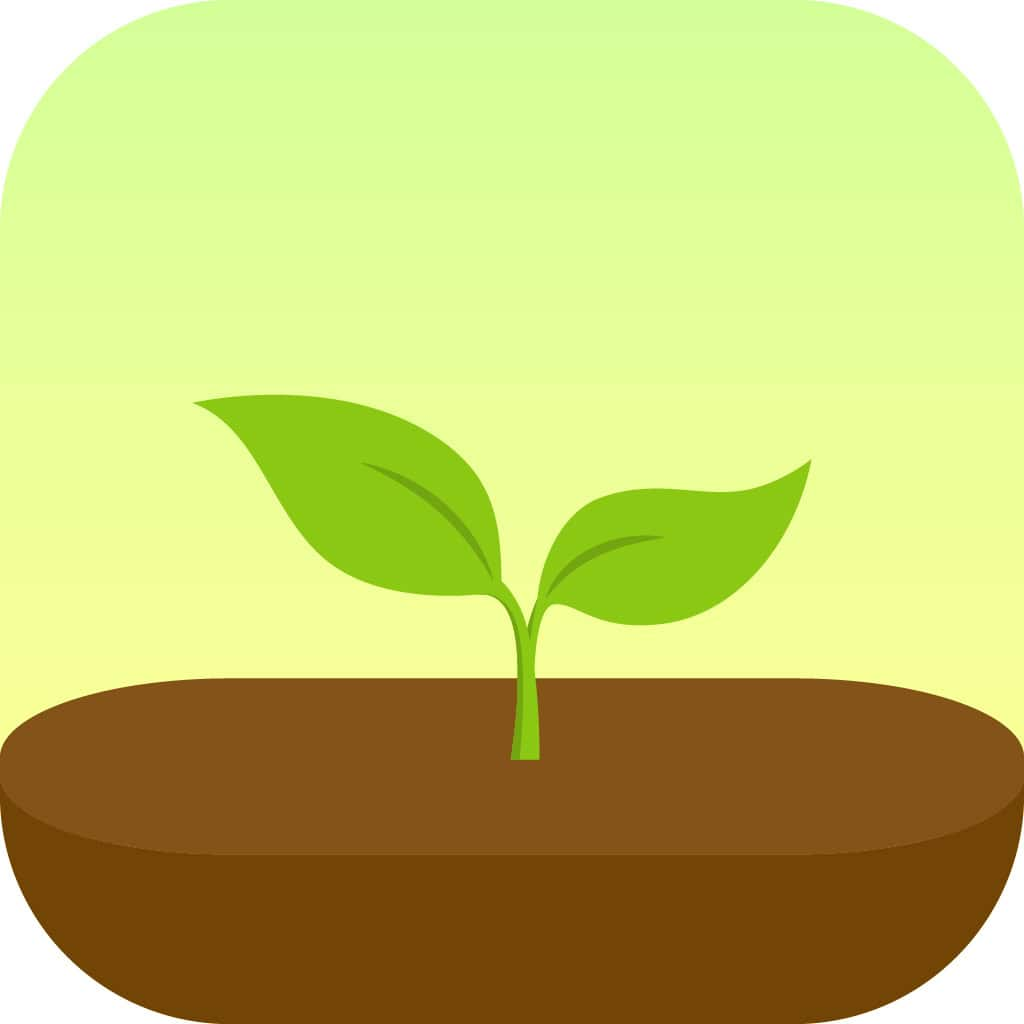 Forest App Logo - Back-to-School Tech Upgrades